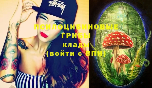 ГАЛЛЮЦИНОГЕННЫЕ ГРИБЫ Инсар