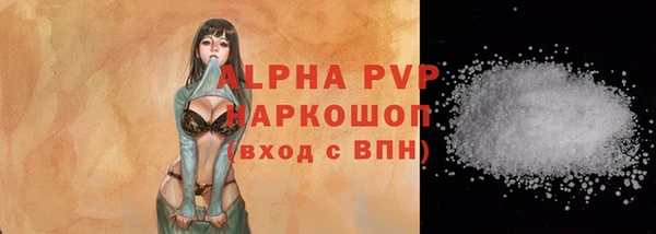 ГАЛЛЮЦИНОГЕННЫЕ ГРИБЫ Инсар