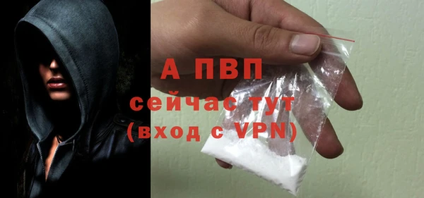 ГАЛЛЮЦИНОГЕННЫЕ ГРИБЫ Инсар