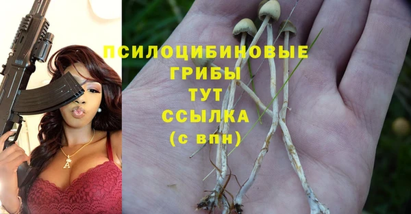 прущие крисы Иннополис