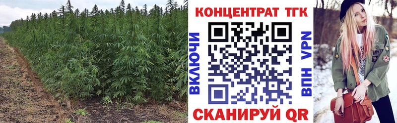 ТГК вейп  Троицк 