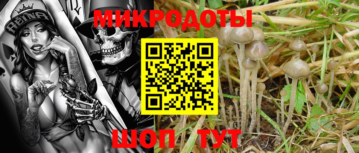 Галлюциногенные грибы GOLDEN TEACHER  Вход с VPN  Троицк 